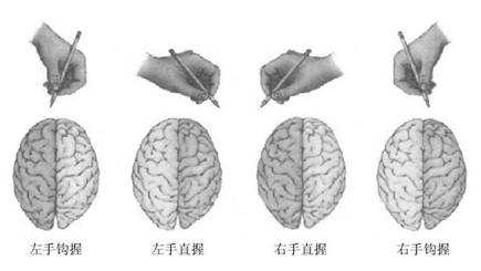 心理学学习（二）心理学与人生：利手