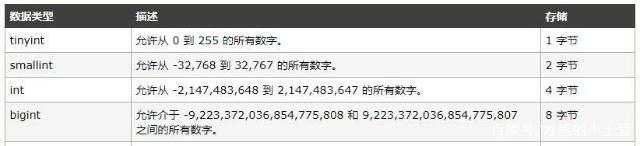 MYSQL数据类型-整数数据类型（bigInt、int、smallint、tinyint）区别「建议收藏」