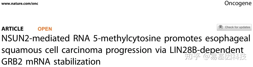 肺腺癌egfr和tp53双突变_m6a甲基化