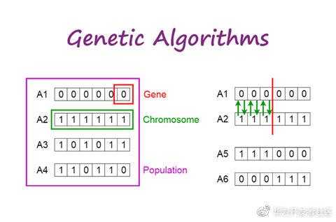 详解智能优化算法:遗传算法和蚁群算法的关系_群智能优化算法有哪些