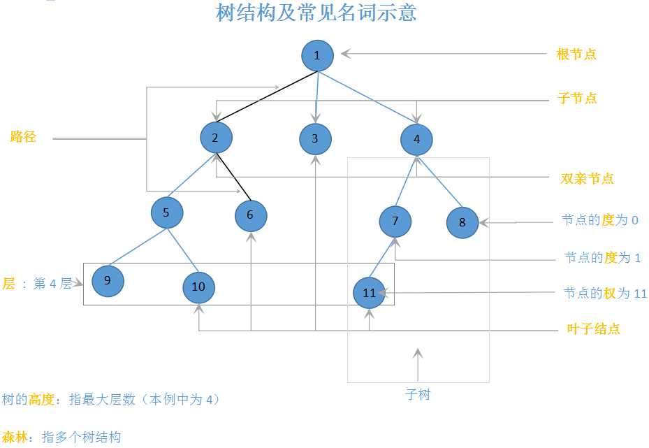 二叉树和b+树的区别_二叉树遍历图解