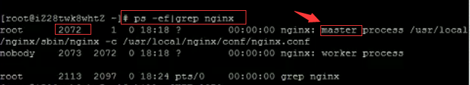 nginx启动和停止_NGINX负载均衡