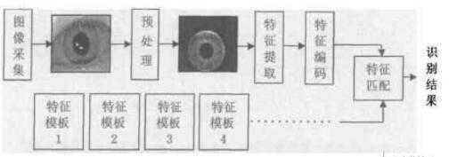 虹膜识别步骤