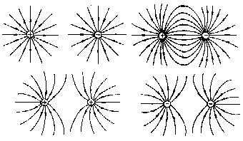 常见的电场线