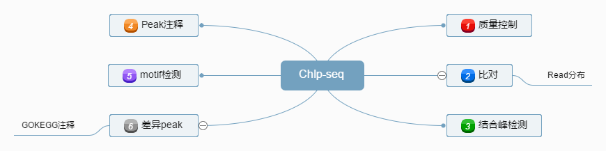 ChIPseq技术_chip结果图怎么看「建议收藏」