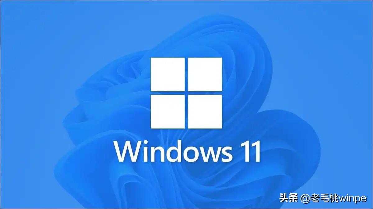 windows11使用_Windows11能让电脑更快吗