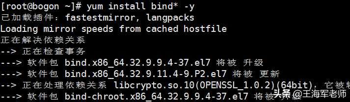 linux dns 反向解析_云服务器搭建