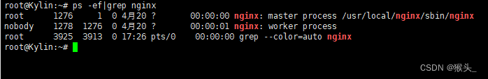 nginx服务的启动和停止是什么_诊断策略服务启动不了