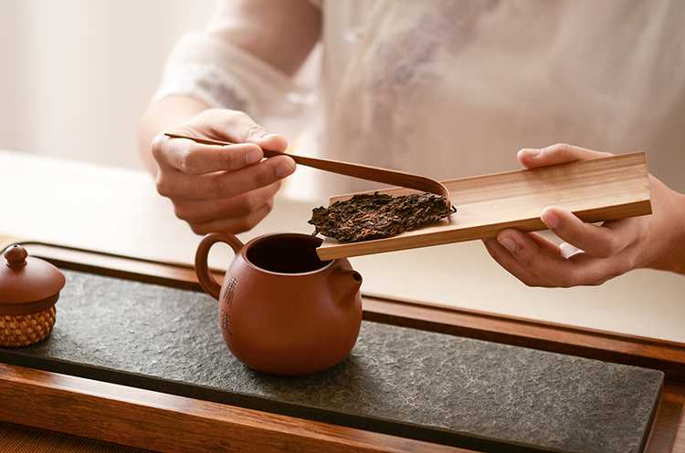 冲泡普洱熟茶