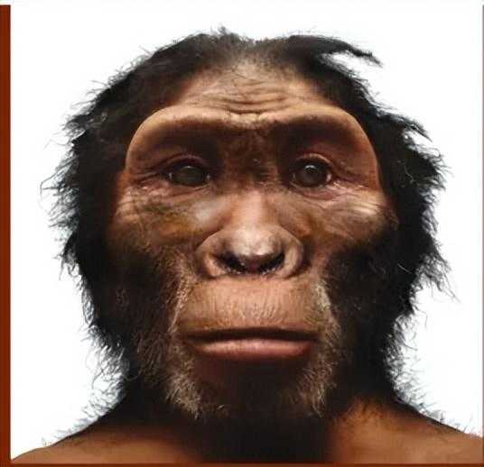 早期人类的进化过程是什么_人类是从早期动物进化而来的吗