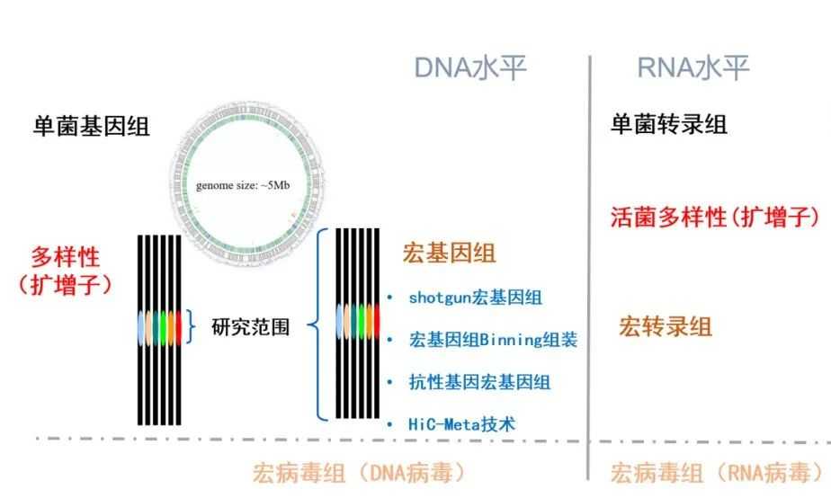 高通量测序技术对微生物学研究的影响_微生物高通量筛选