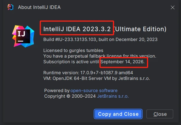 idea激活码2024.1(IntelliJ IDEA 2024最新免费激活成功教程激活教程（win+Mac）)
