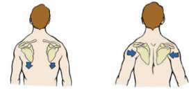 肩袖损伤修补术后常见并发症_肩袖损伤术后康复训练方法