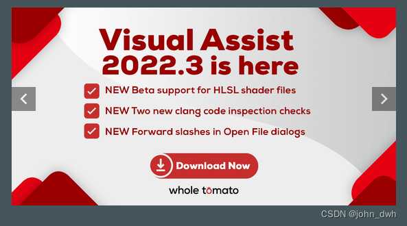 VisualAssist v10.9.2463 Crack[通俗易懂]