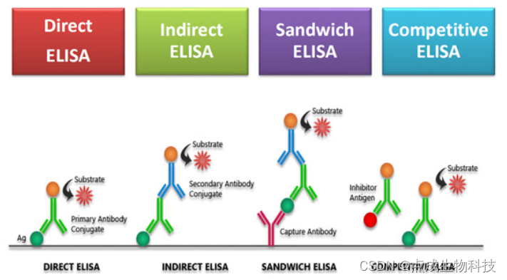 elisa实验原理及特点_数据库原理[通俗易懂]