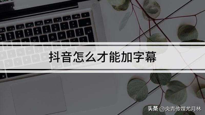 怎样为短视频作品添加字幕和文字_短视频的字幕怎么设置