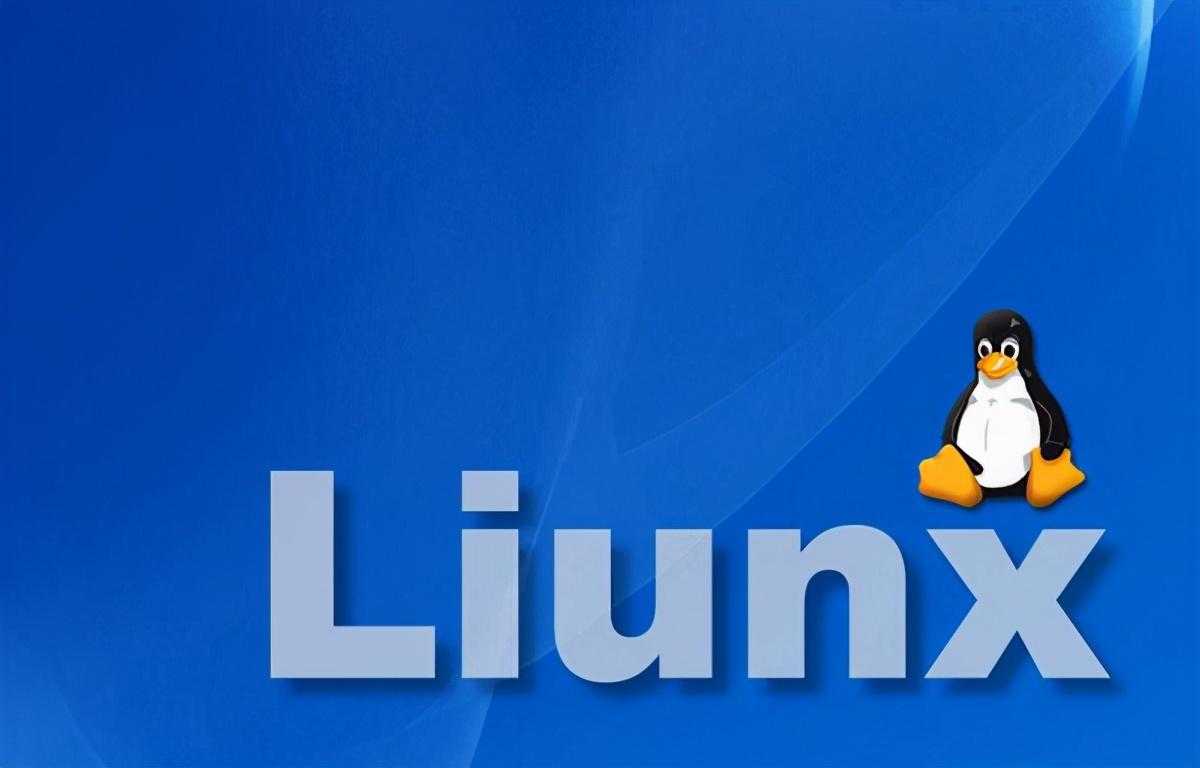 学习如何在Linux中使用export命令