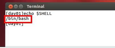shell脚本语言入门_linux shell脚本编写