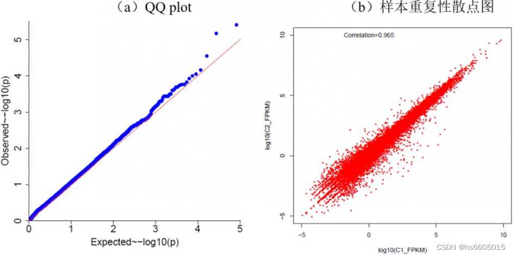 图1 QQ plot 和样本重复散点图