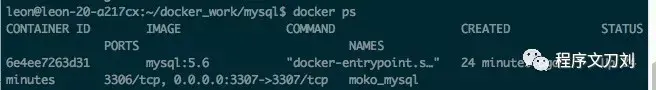 Ubuntu环境使用Docker搭建mysql以及Springboot项目构建