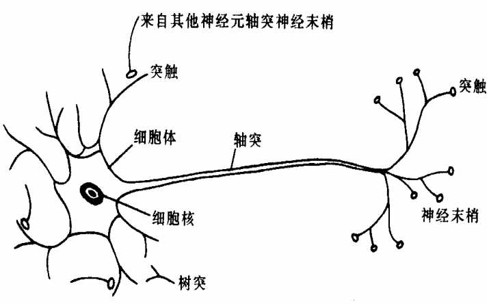 ANN简介_Ann的中文名字是什么[通俗易懂]