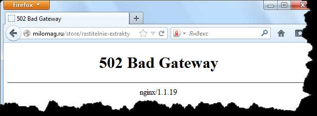 前端报502 bad gateway的原因及解决方案「建议收藏」