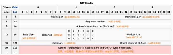 TCP头部