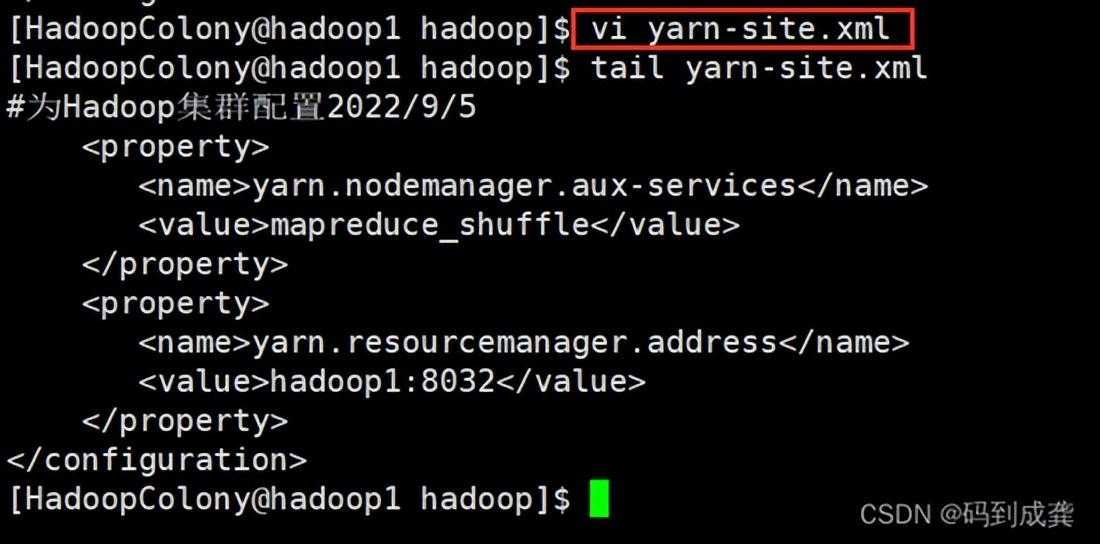 hadoop01——Hadoop伪分布式集群搭建 手把手教学「终于解决」