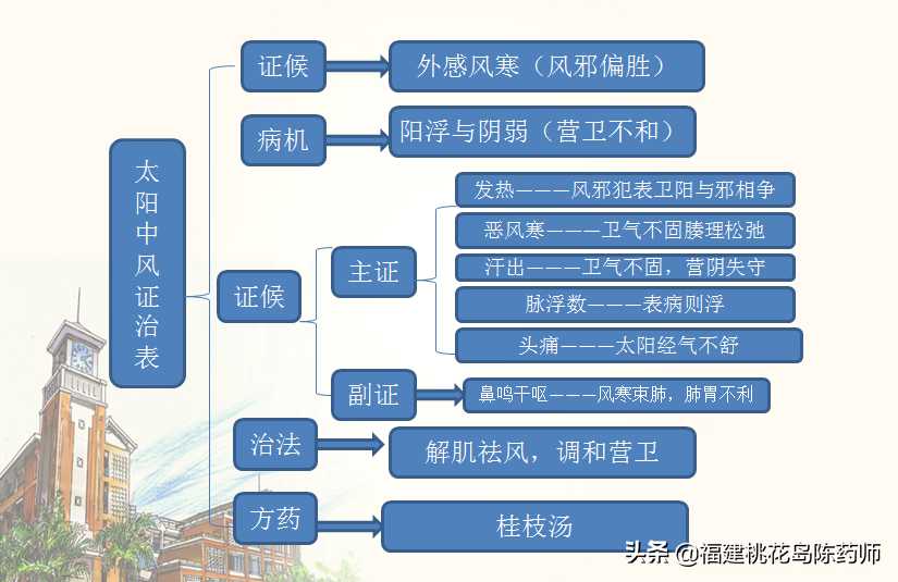 第二节：太阳病本证、禁忌及兼证的证治学习要点