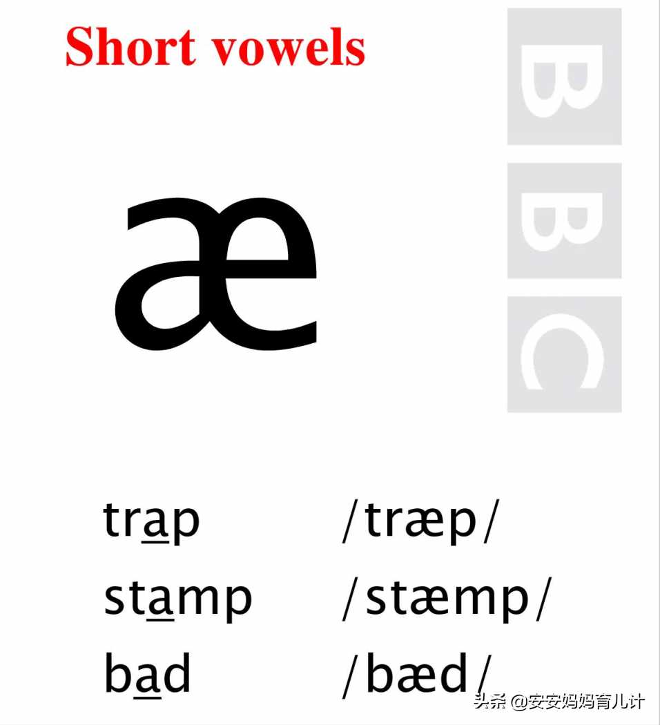 英语国际音标 /æ/ 发音方法「终于解决」