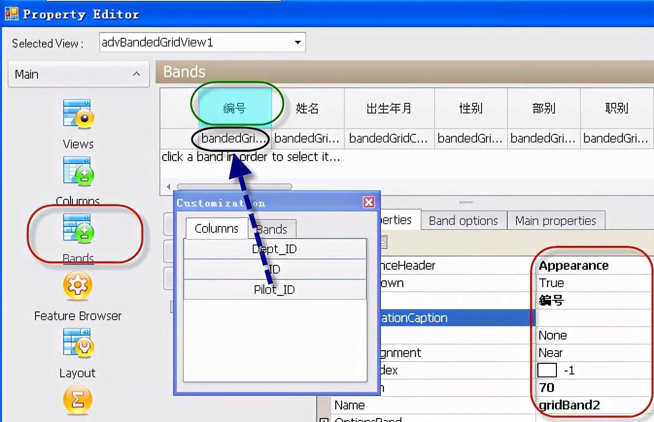 干货！七大DevExpress控件开发常用知识点解析[通俗易懂]