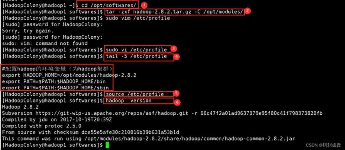 hadoop01——Hadoop伪分布式集群搭建 手把手教学「终于解决」