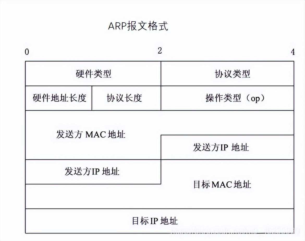 清华大佬耗时3天总结出的"常见网络协议汇总"「终于解决」