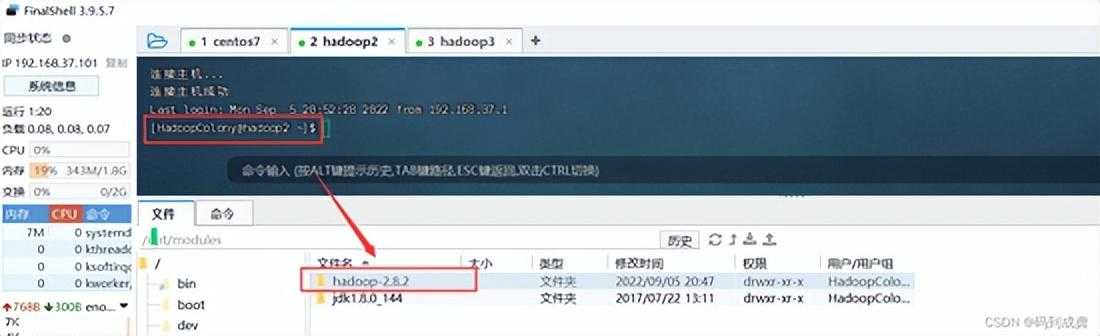 hadoop01——Hadoop伪分布式集群搭建 手把手教学「终于解决」