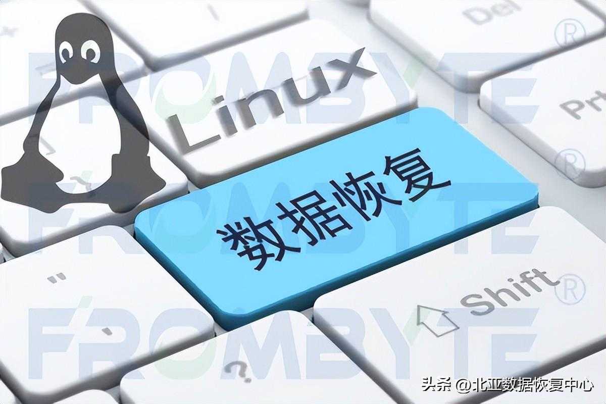 「服务器数据恢复」Linux网站服务器的数据恢复案例