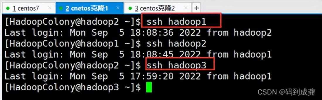 hadoop01——Hadoop伪分布式集群搭建 手把手教学「终于解决」