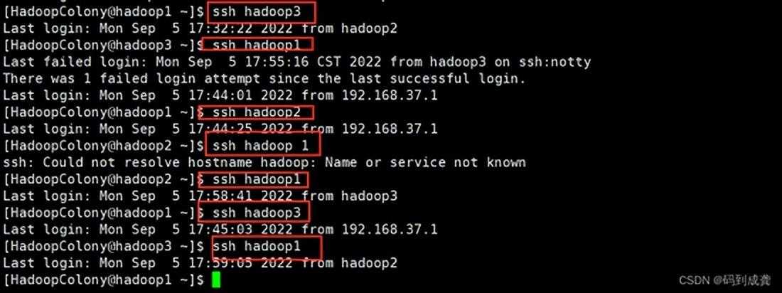 hadoop01——Hadoop伪分布式集群搭建 手把手教学「终于解决」