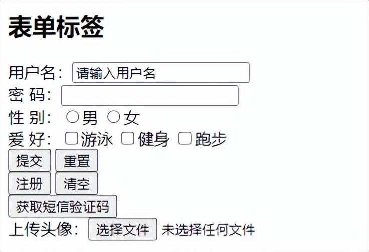 初识HTML——列表标签和表单标签「建议收藏」