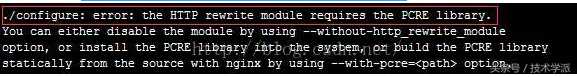 技术学派：Nginx超详细入门教程「终于解决」