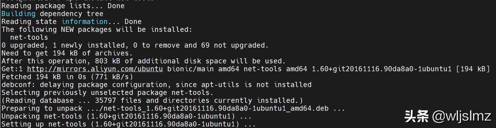 Linux系统6种查看IP地址的方法