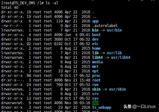 Linux入门手册「终于解决」