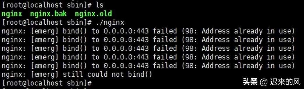 「nginx」 nginx运行异常 启动失败问题解决「建议收藏」