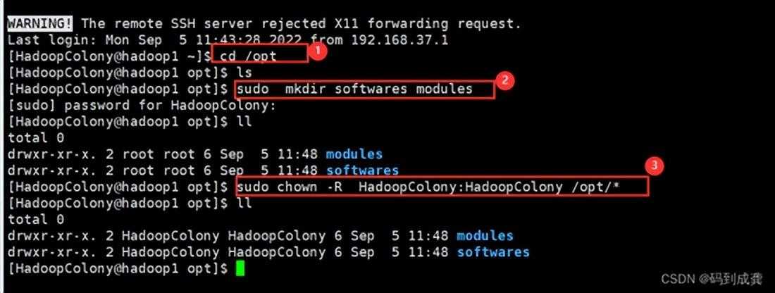 hadoop01——Hadoop伪分布式集群搭建 手把手教学「终于解决」