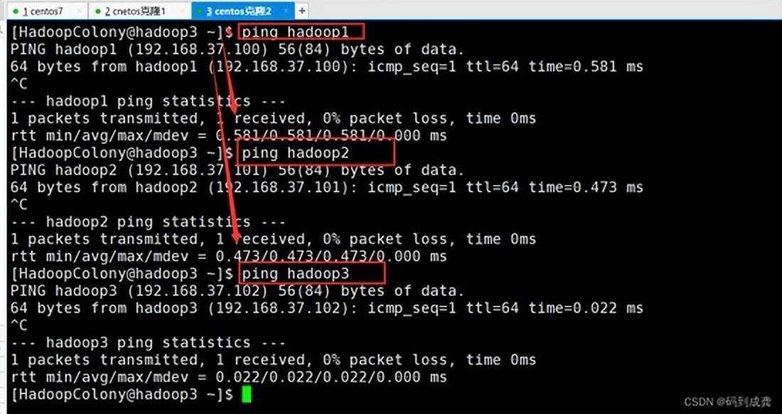 hadoop01——Hadoop伪分布式集群搭建 手把手教学「终于解决」