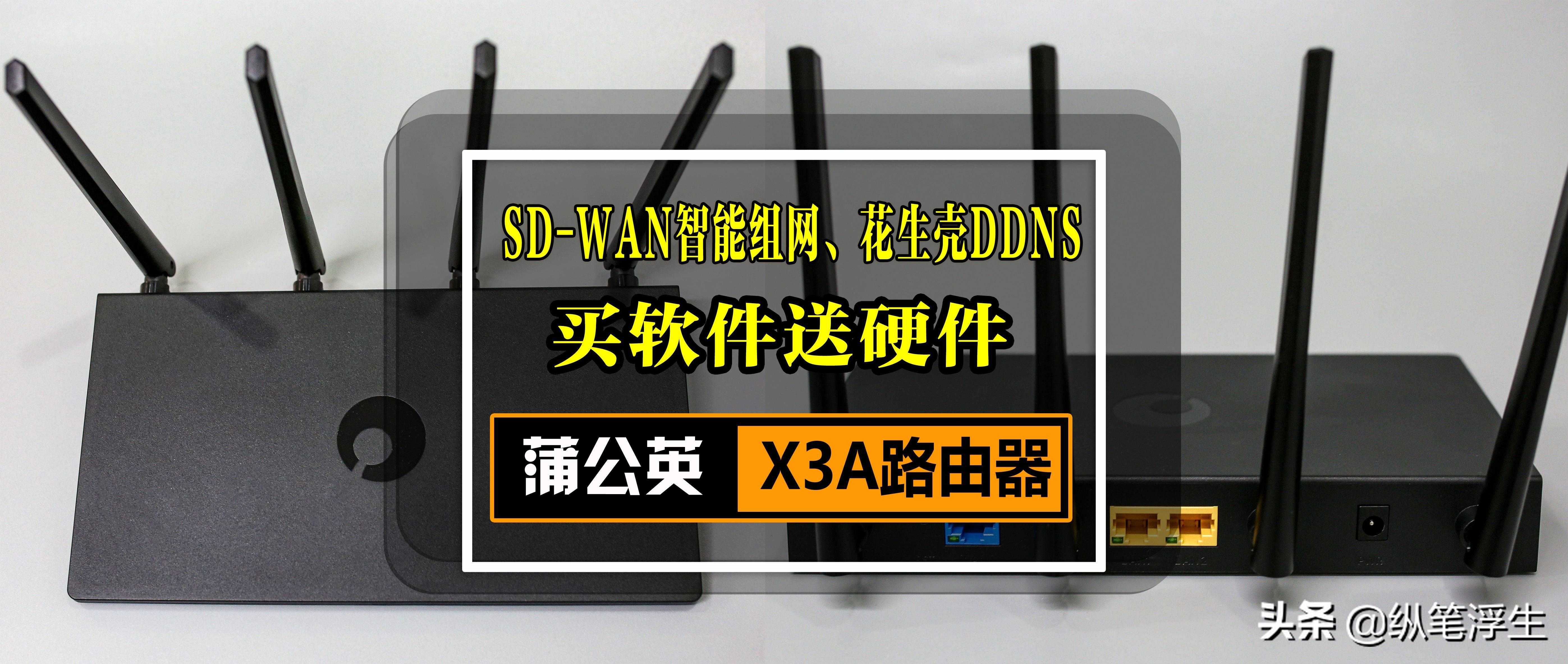 SD-WAN智能组网、花生壳DDNS：堪称买软件送硬件的蒲公英 X3A评测