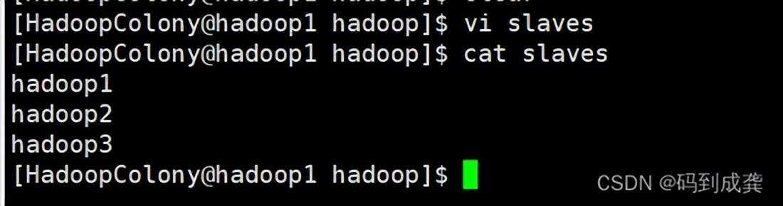 hadoop01——Hadoop伪分布式集群搭建 手把手教学「终于解决」