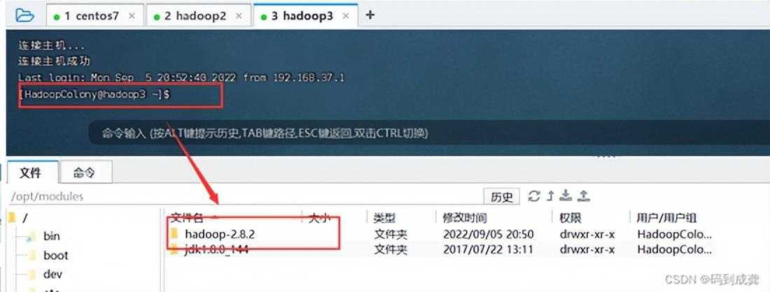 hadoop01——Hadoop伪分布式集群搭建 手把手教学「终于解决」