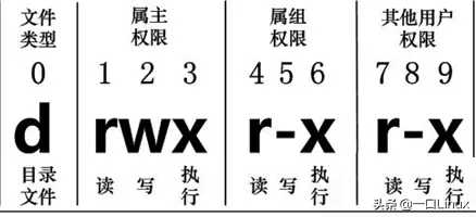 Linux入门手册「终于解决」