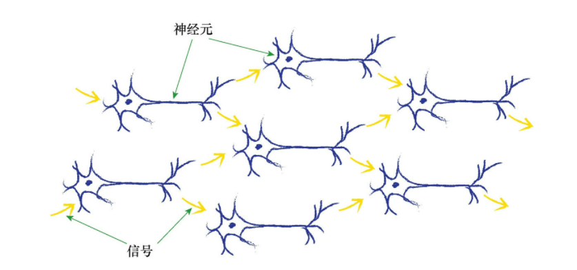 人工智能-学习笔记3-神经元-大自然的计算器 (https://mushiming.com/)  第7张