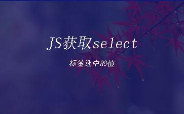 JS获取select标签选中的值"